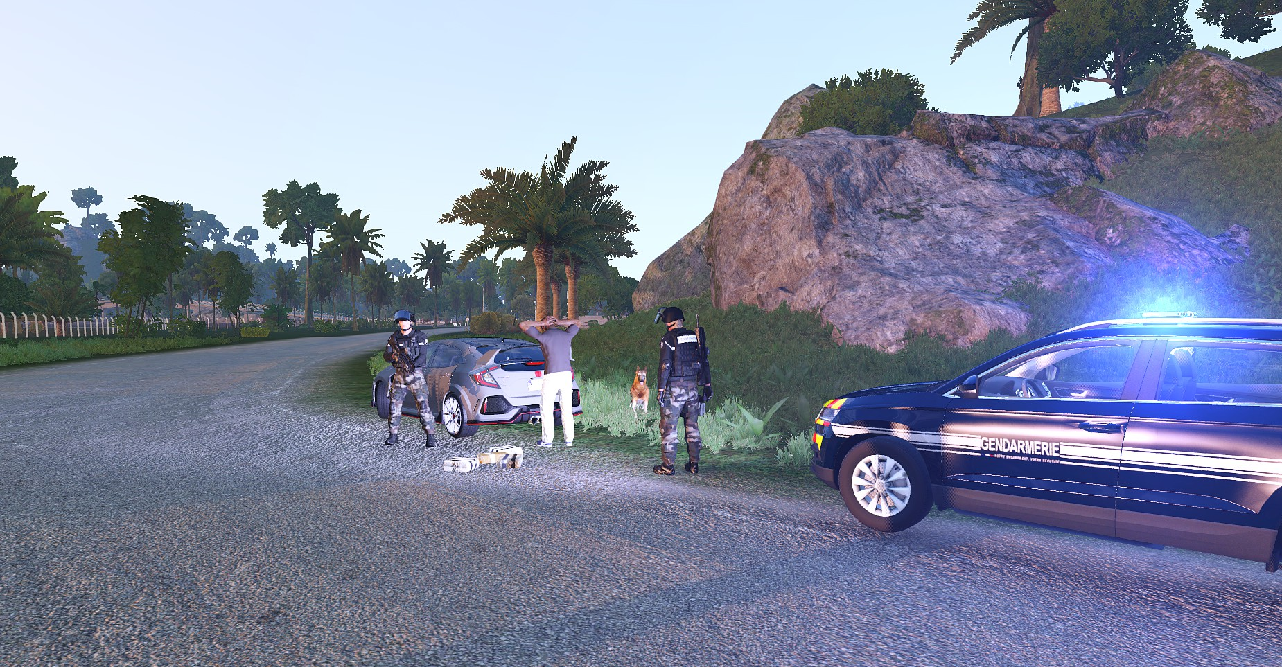 Gendarmerie Nationale